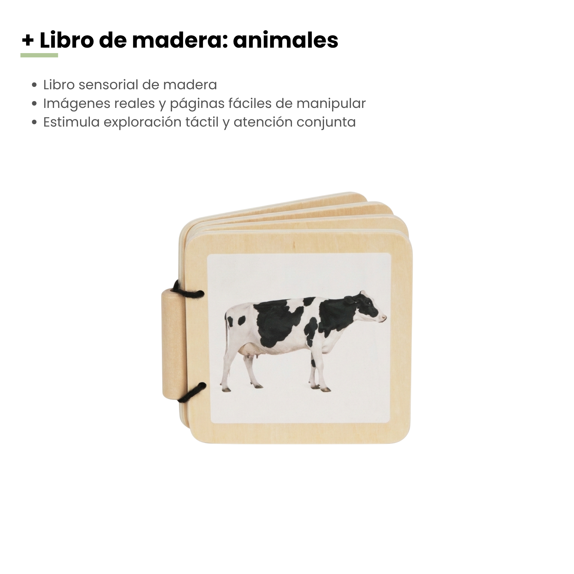 MiimiKit Tortuga | Kit de estimulación 7-8 meses