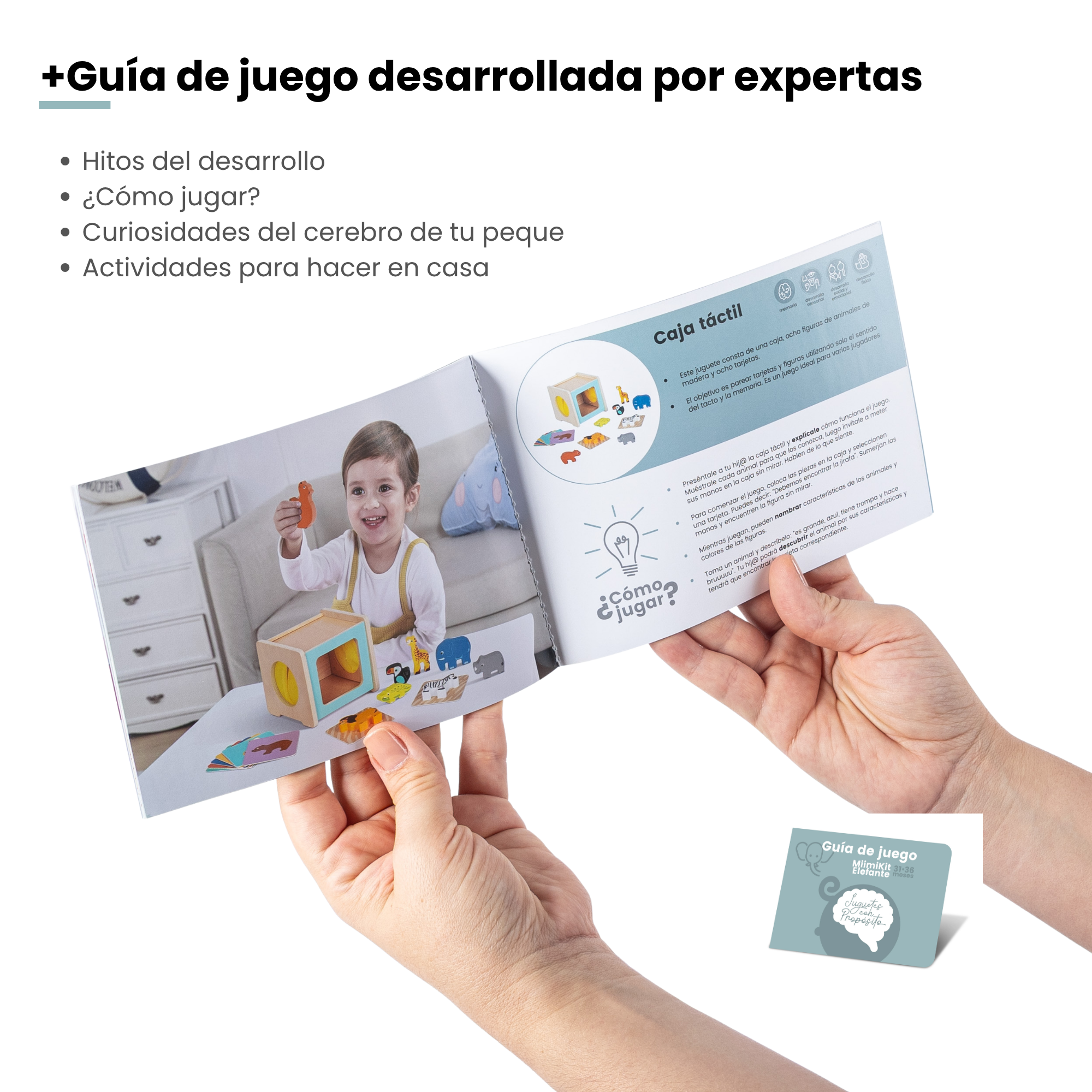 MiimiKit Elefante | Kit de estimulación 31-36 meses