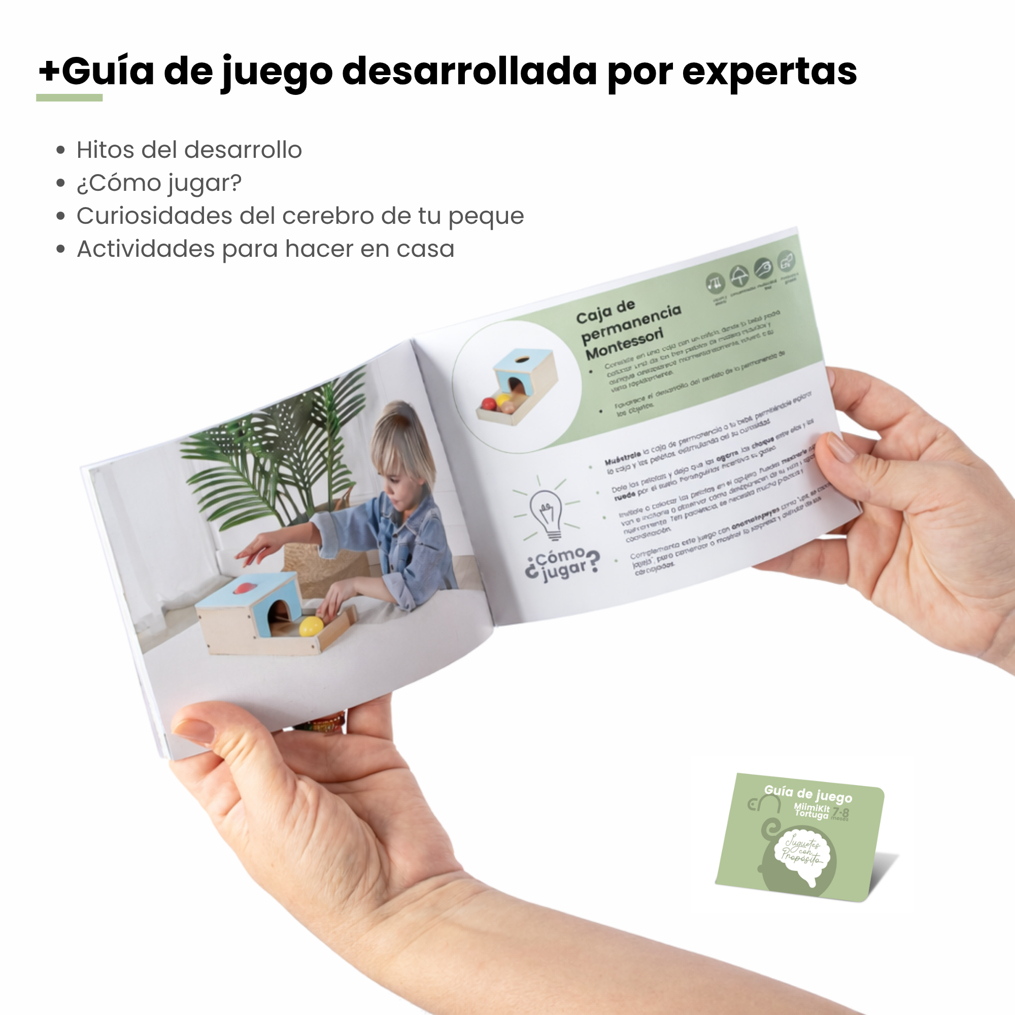 MiimiKit Tortuga | Kit de estimulación 7-8 meses