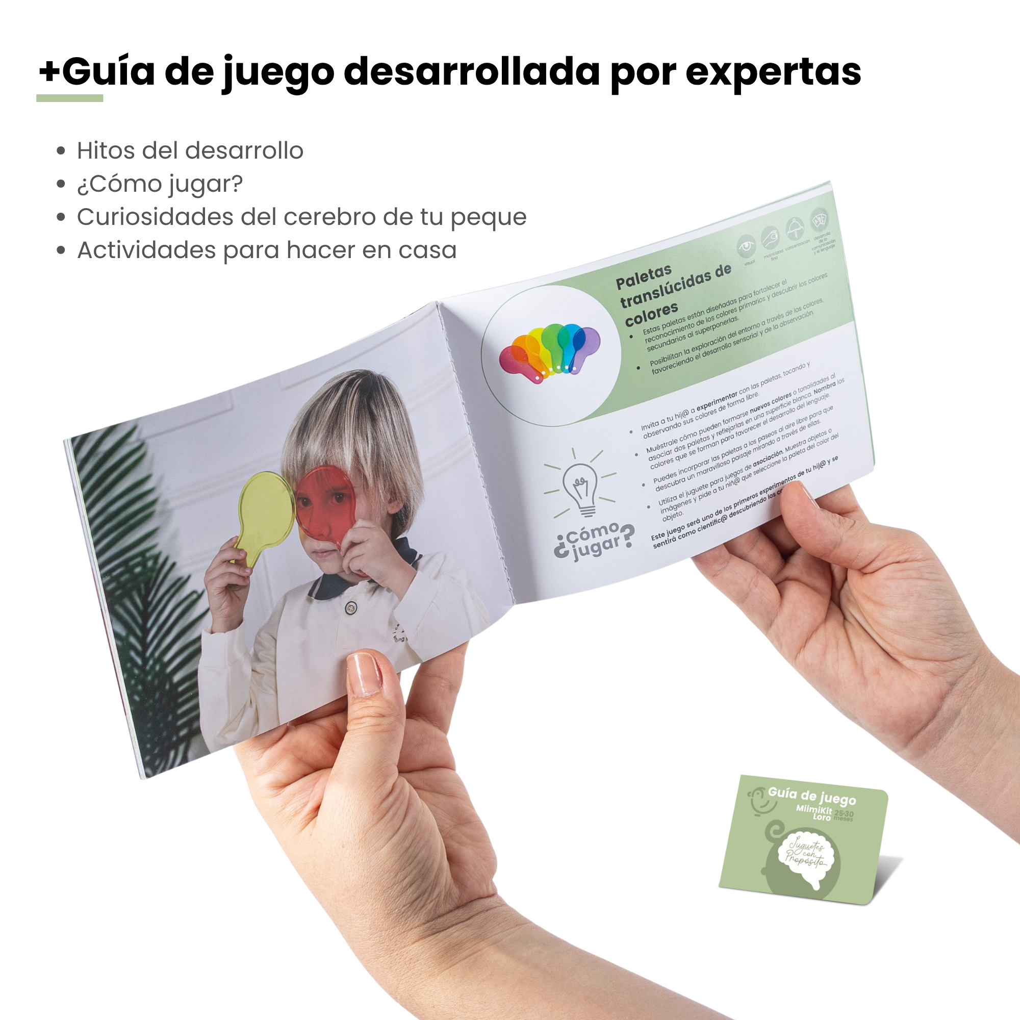 MiimiKit Loro | Kit de estimulación 25-30 meses