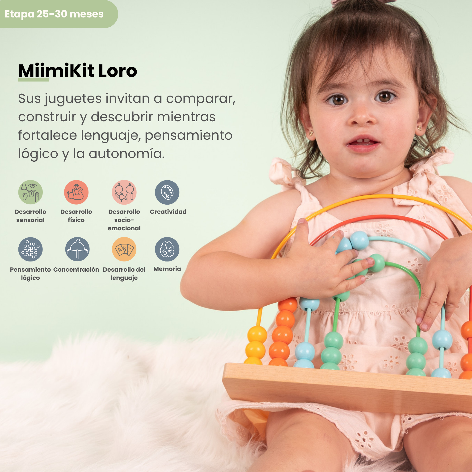 MiimiKit Loro | Kit de estimulación 25-30 meses