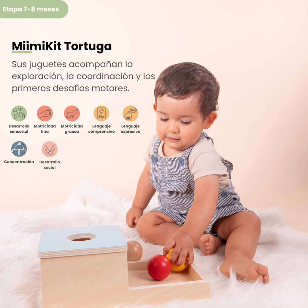 MiimiKit Tortuga | Kit de estimulación 7-8 meses