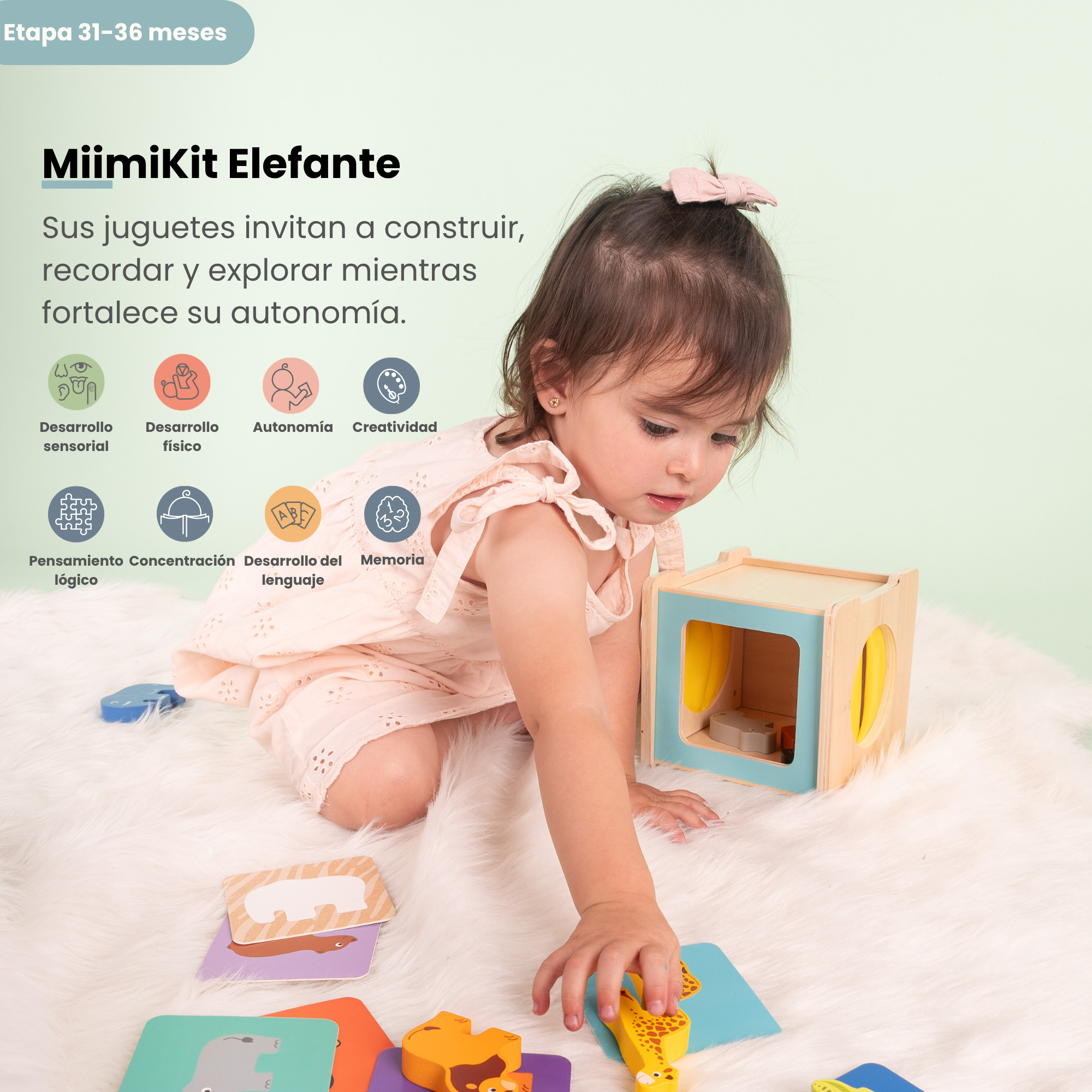 MiimiKit Elefante | Kit de estimulación 31-36 meses
