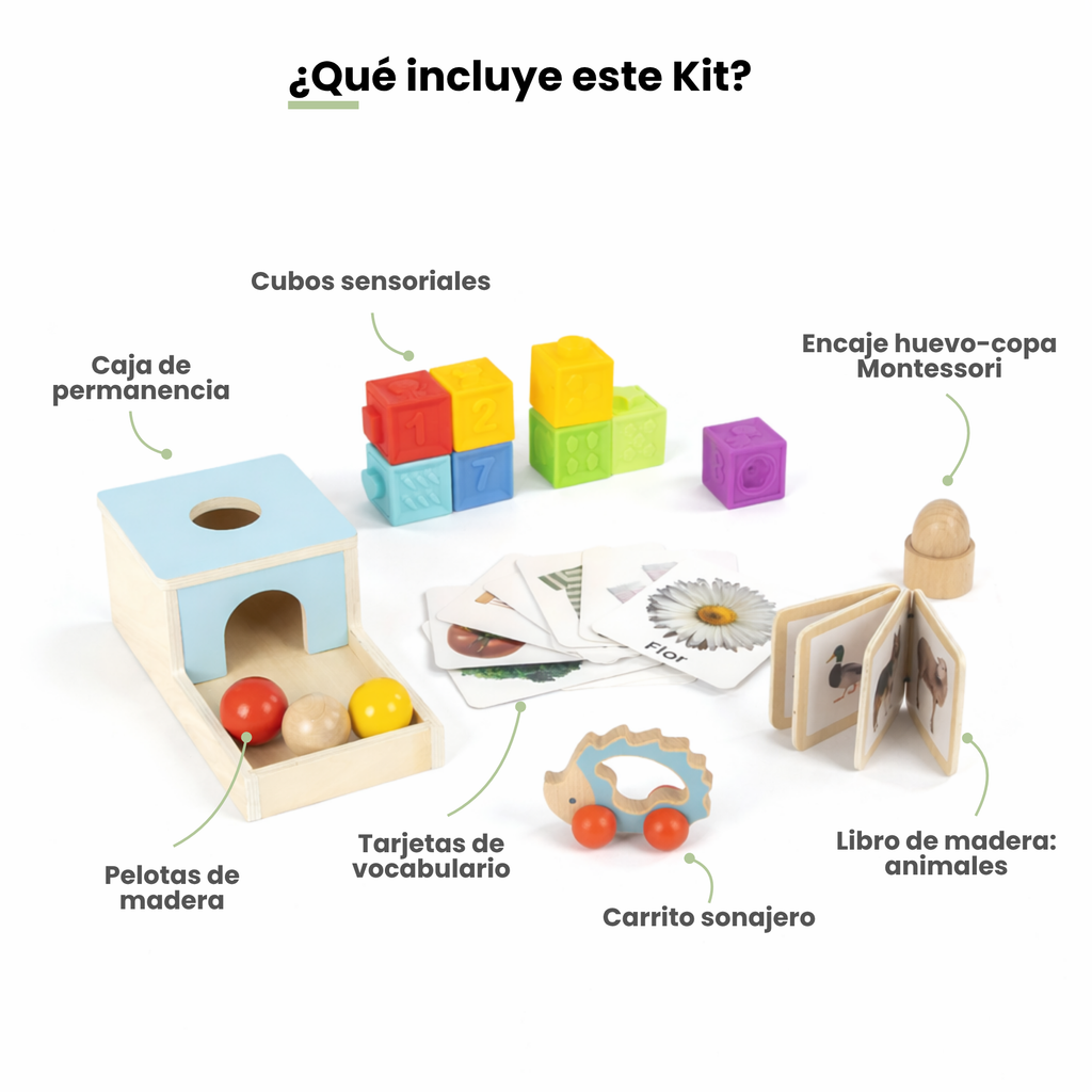 MiimiKit Tortuga | Kit de estimulación 7-8 meses
