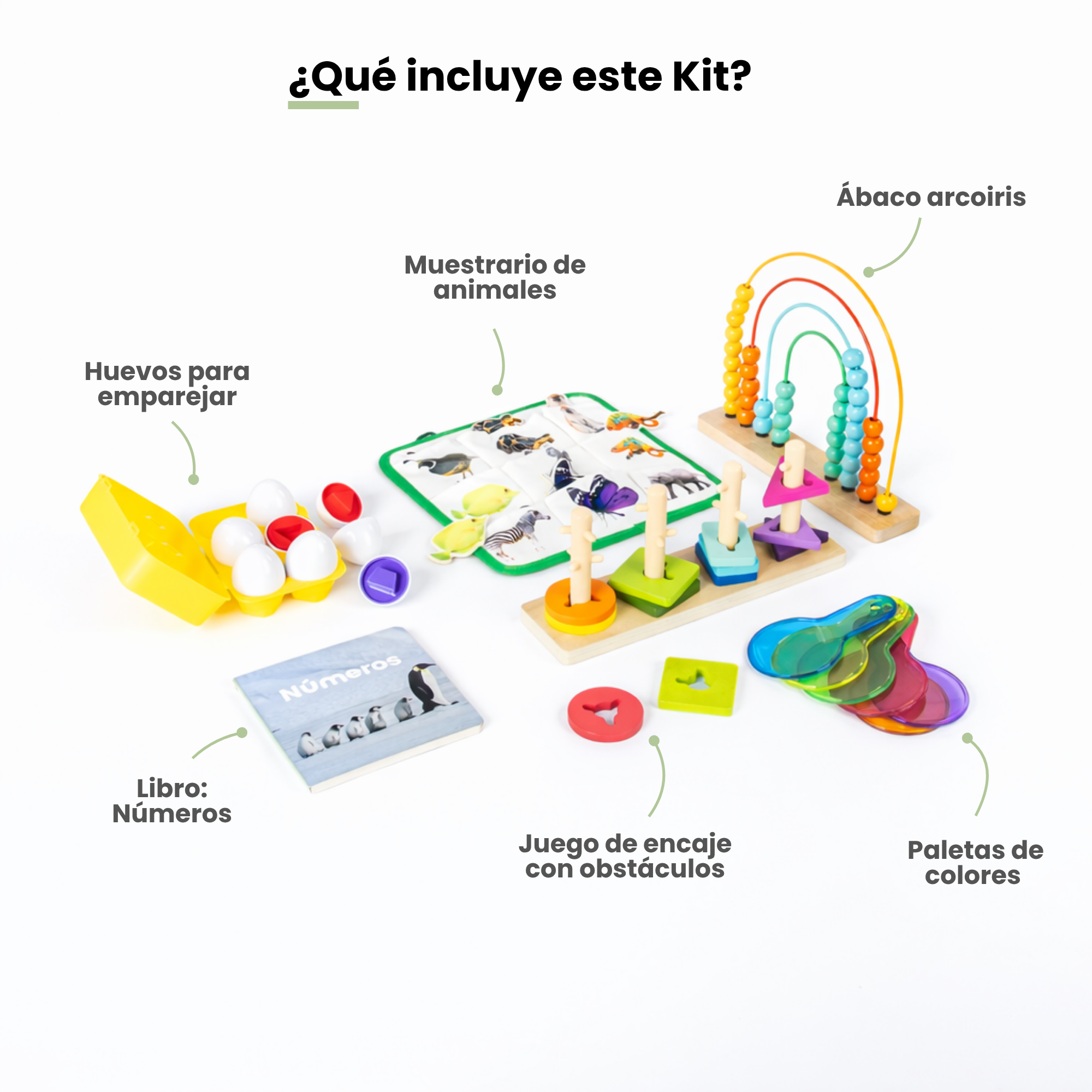 MiimiKit Loro | Kit de estimulación 25-30 meses