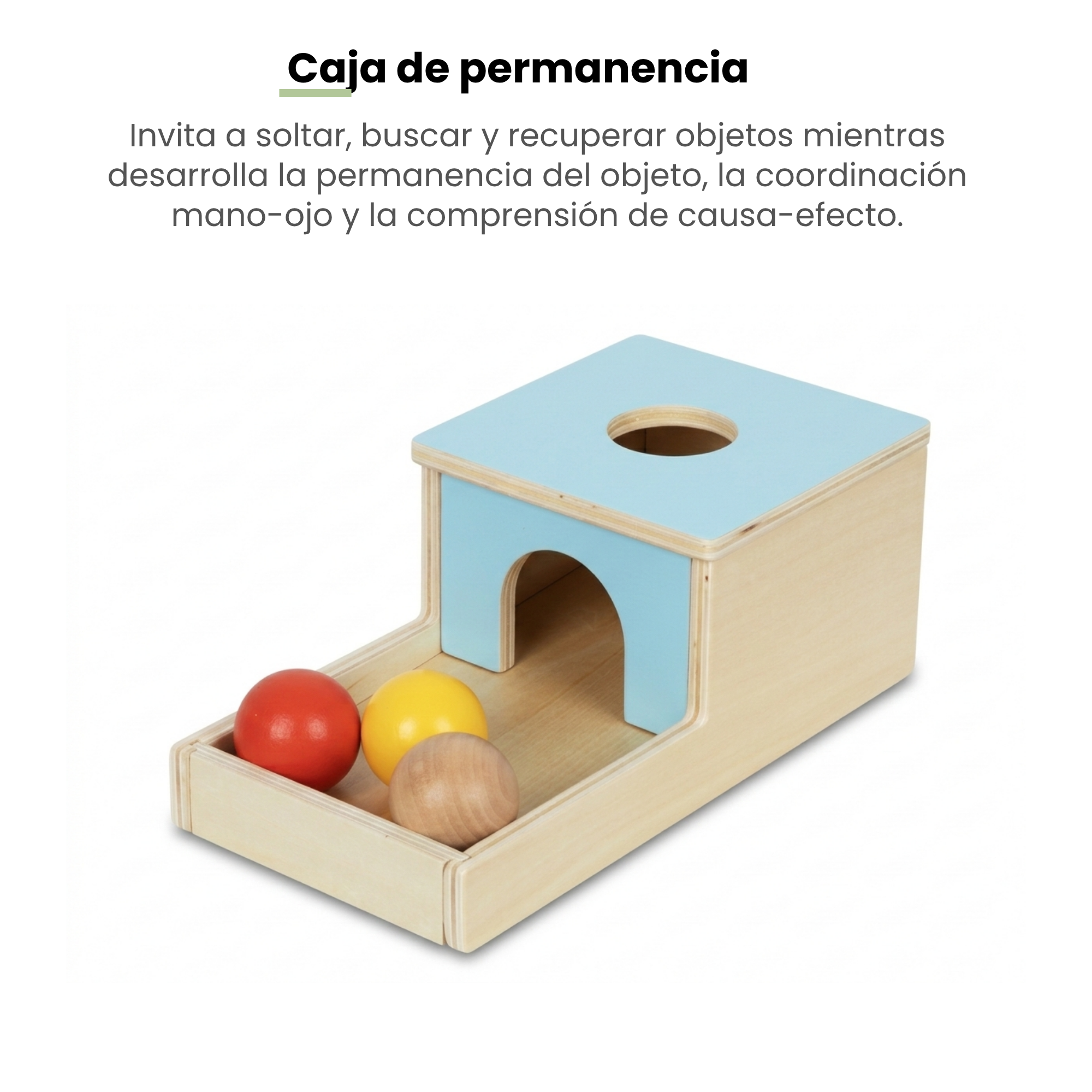 MiimiKit Tortuga | Kit de estimulación 7-8 meses