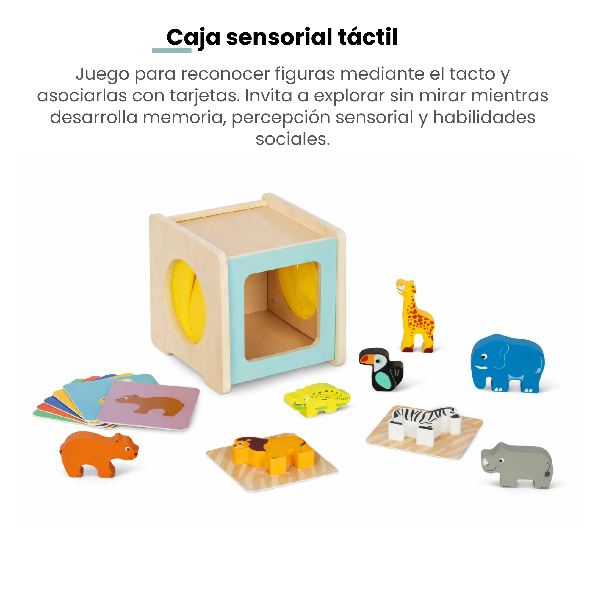 MiimiKit Elefante | Kit de estimulación 31-36 meses