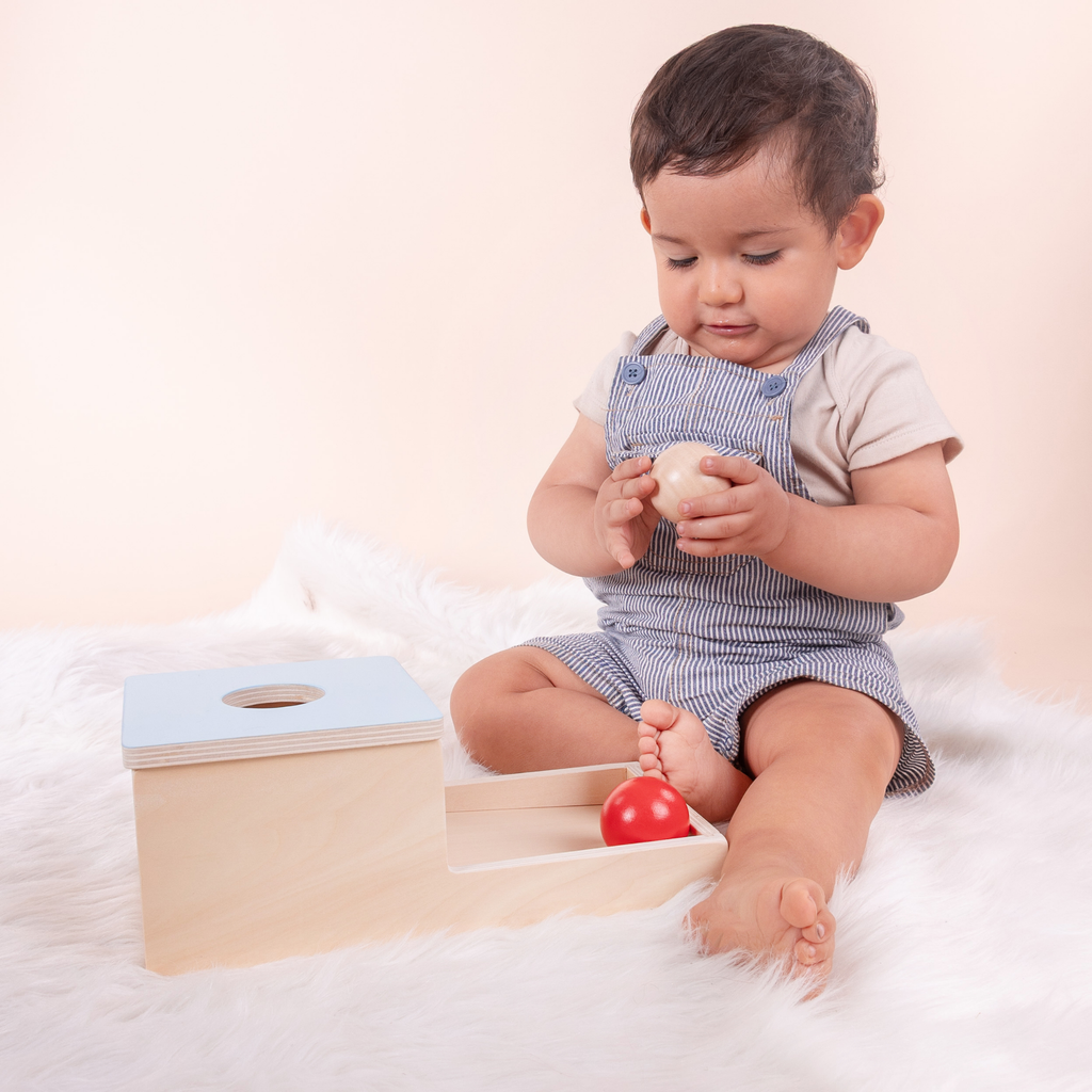 MiimiKit Tortuga | Kit de estimulación 7-8 meses