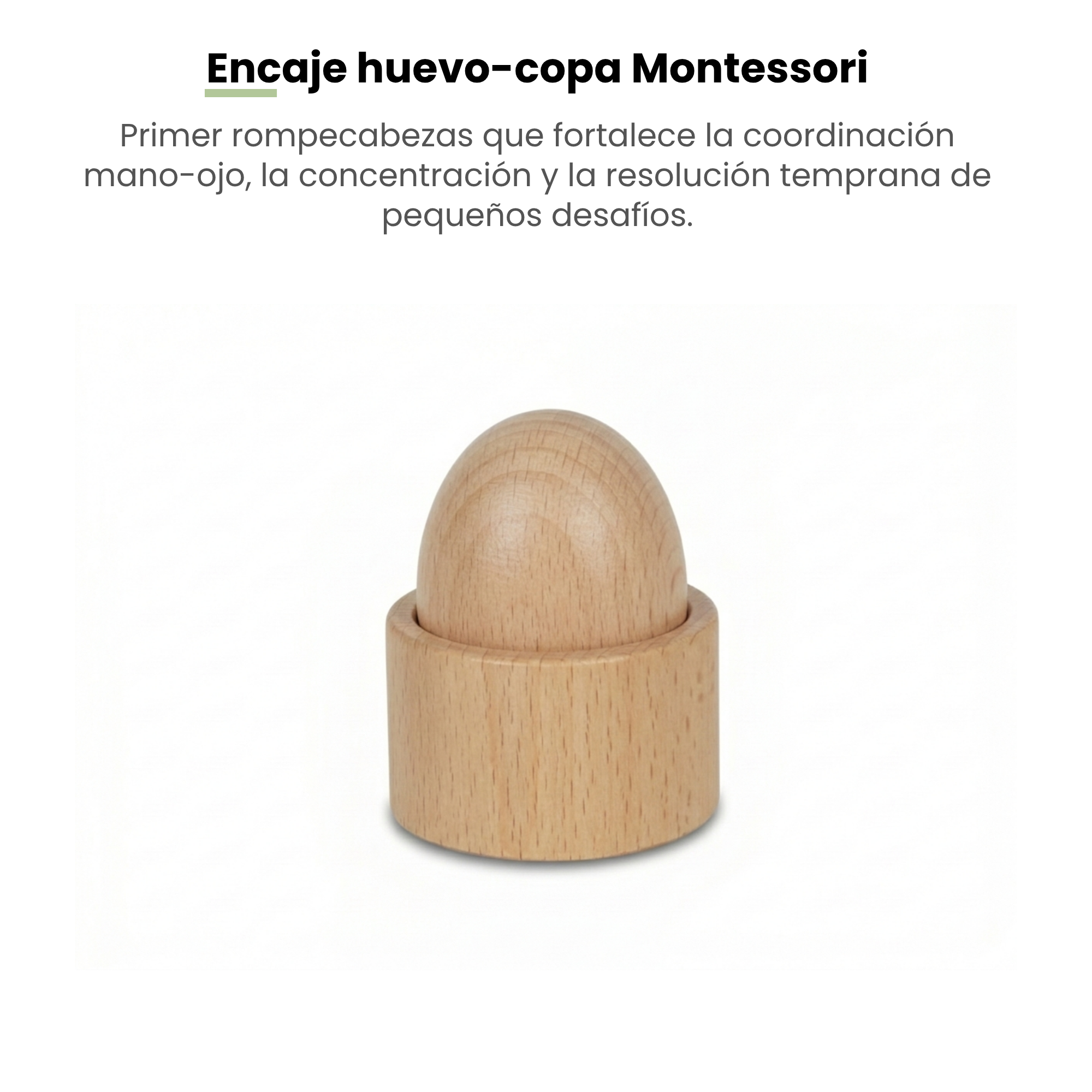 MiimiKit Tortuga | Kit de estimulación 7-8 meses