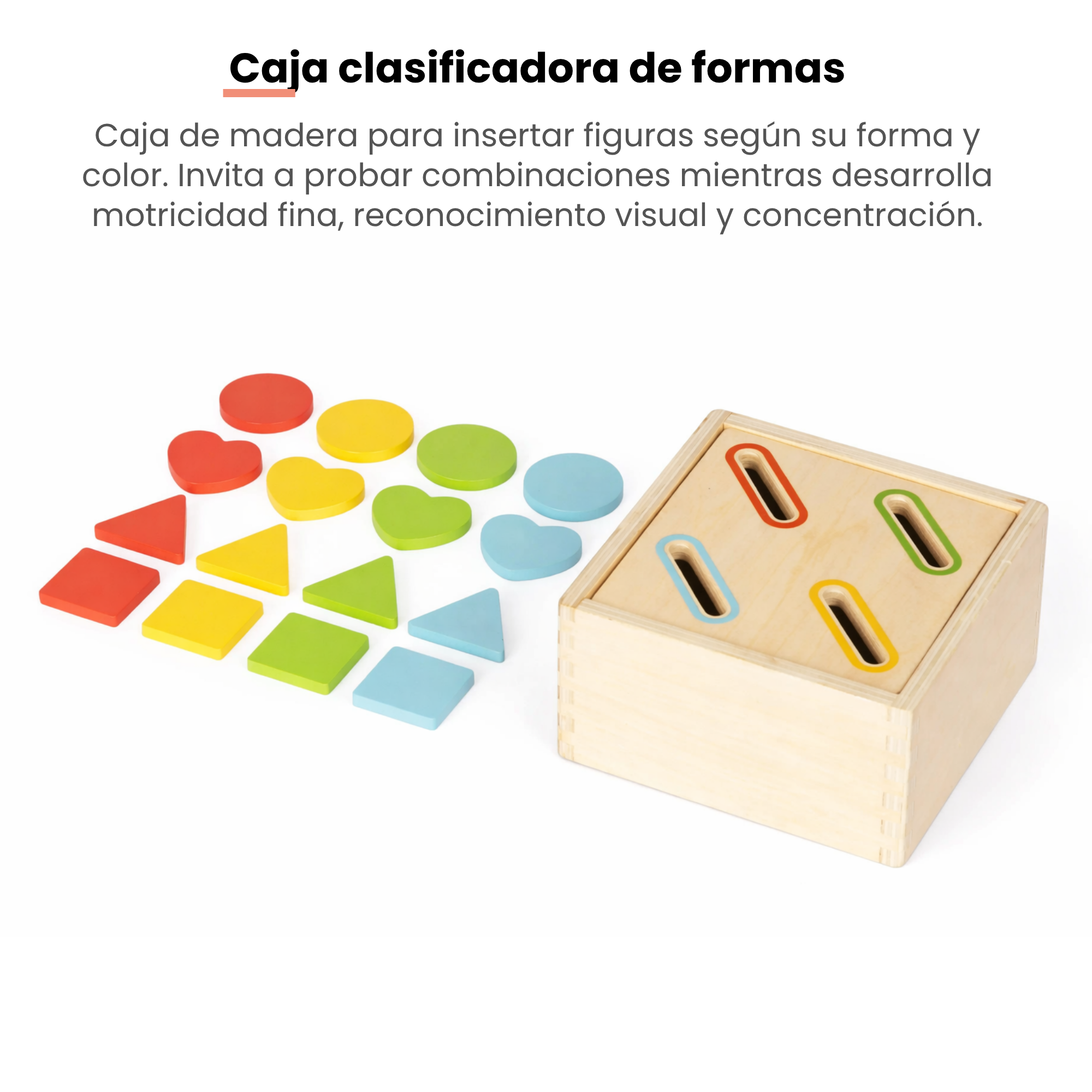 MiimiKit Araña | Kit de estimulación 22-24 meses