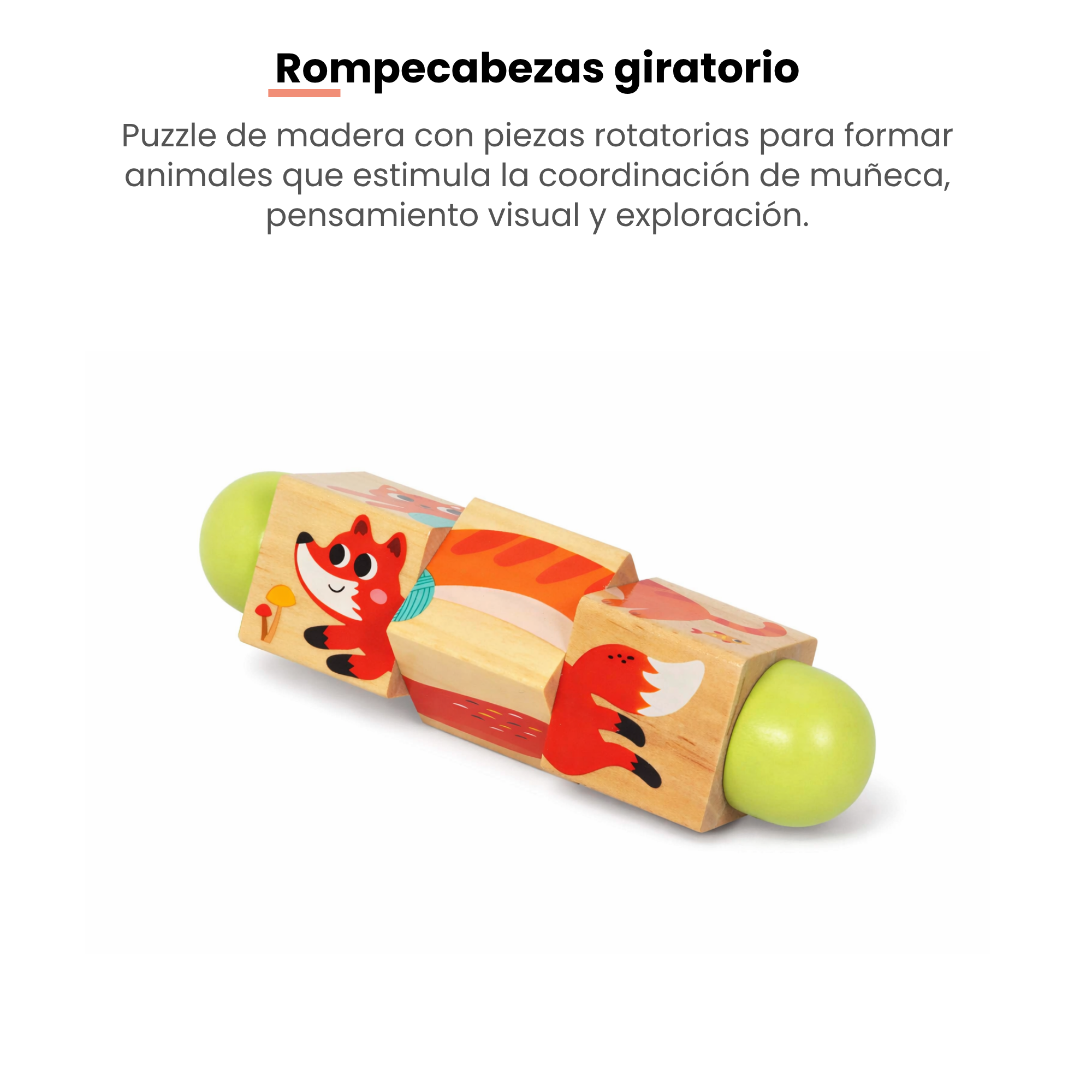 MiimiKit Araña | Kit de estimulación 22-24 meses