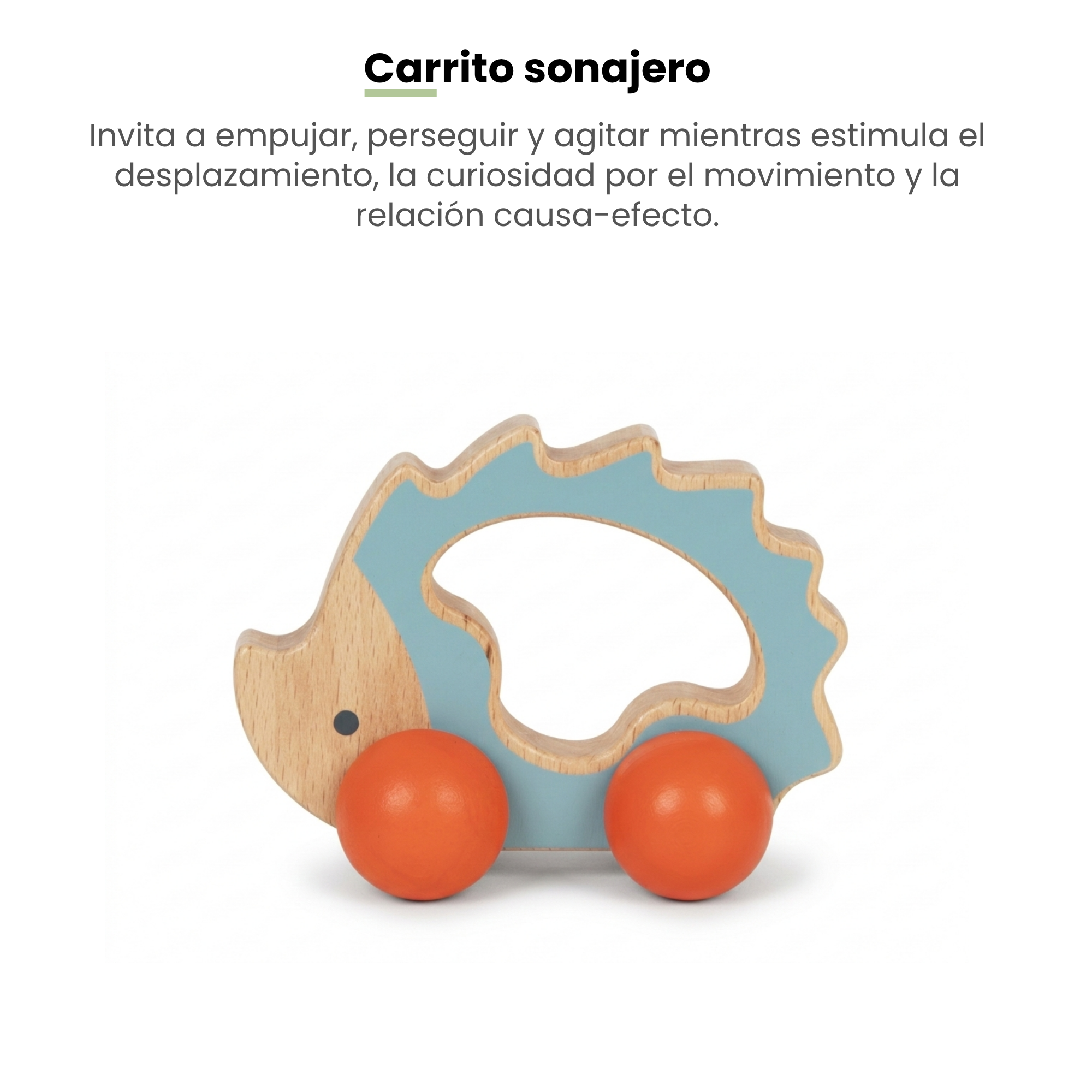 MiimiKit Tortuga | Kit de estimulación 7-8 meses