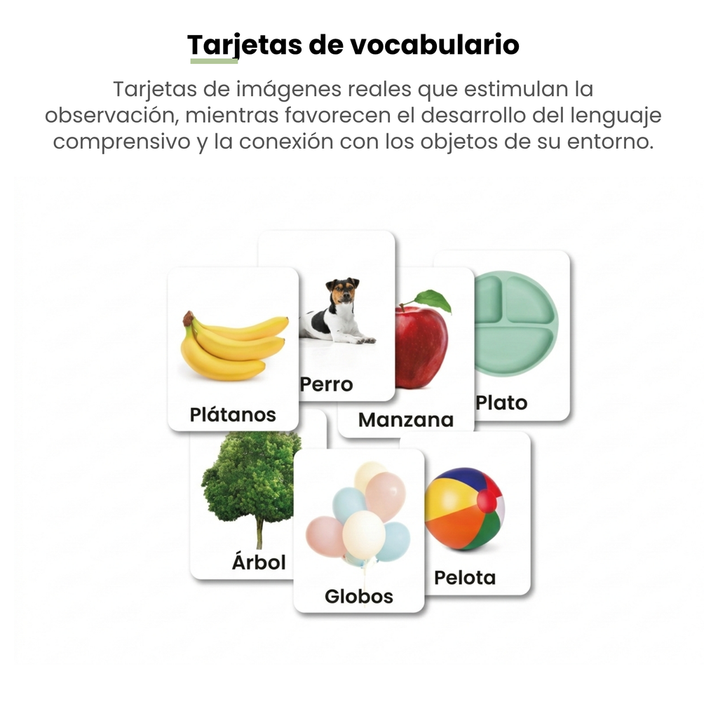 MiimiKit Tortuga | Kit de estimulación 7-8 meses