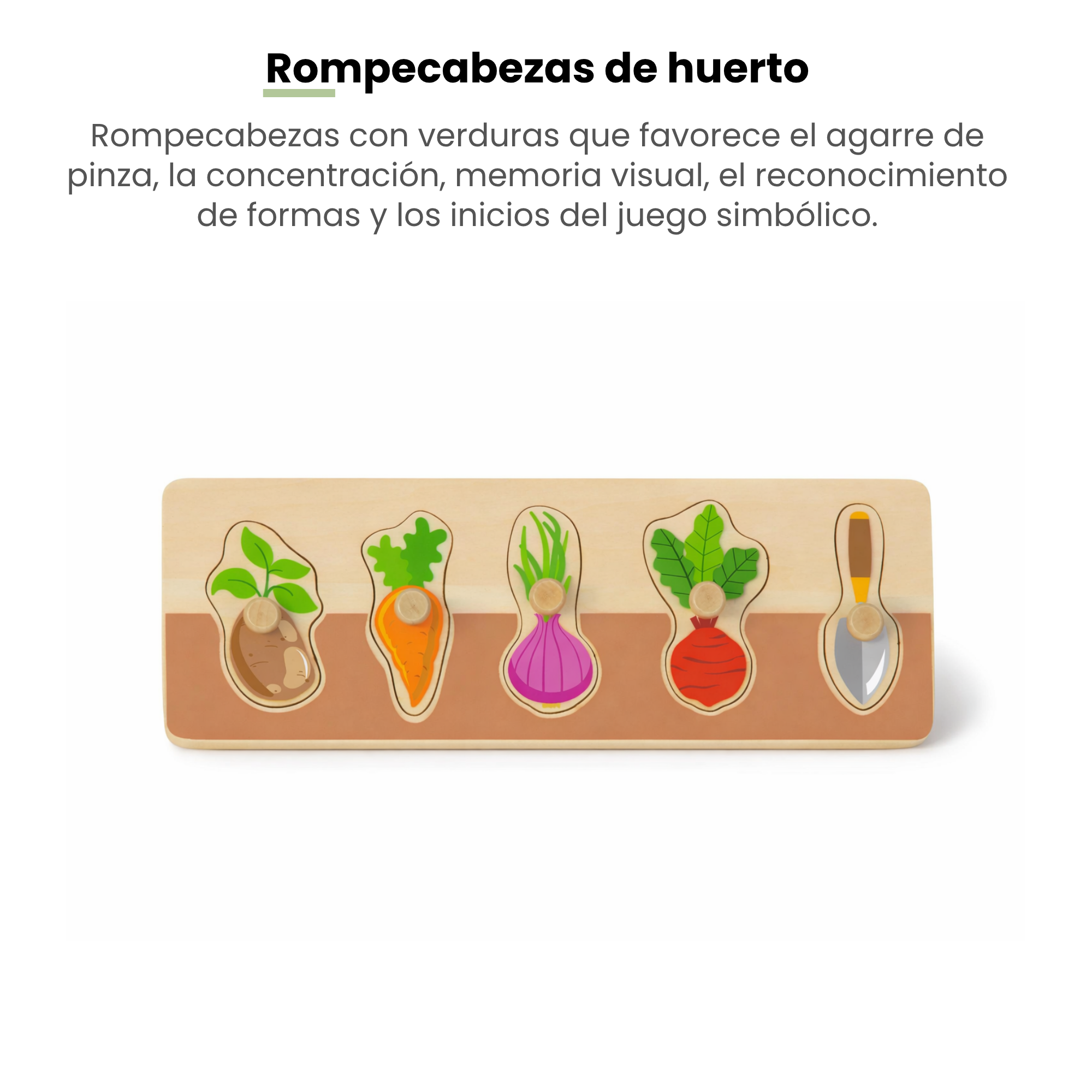 MiimiKit Rana | Kit de estimulación 16-18 meses