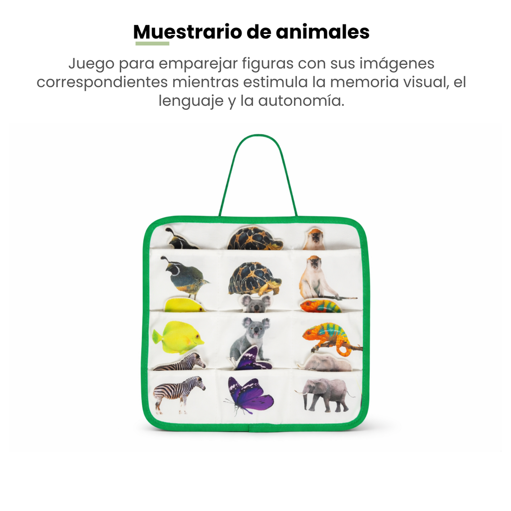 MiimiKit Loro | Kit de estimulación 25-30 meses