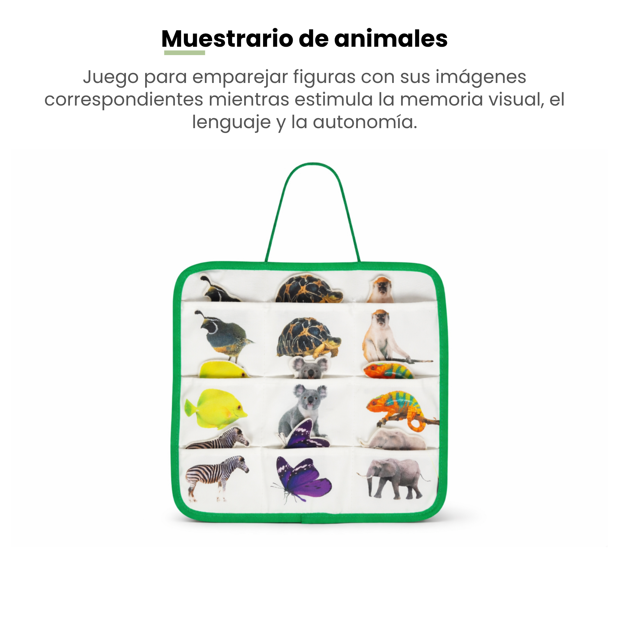 MiimiKit Loro | Kit de estimulación 25-30 meses