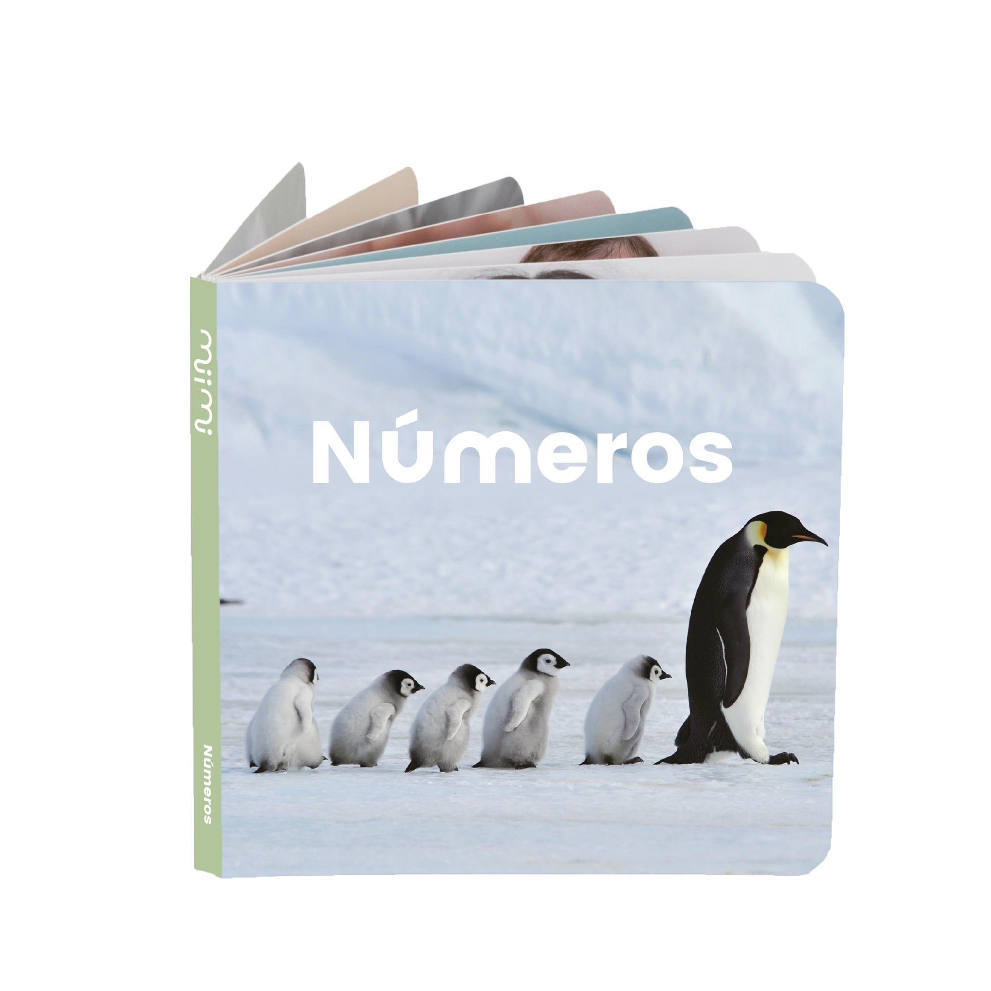 Números